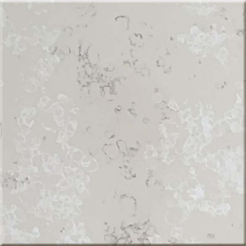 Jestone Array image78
